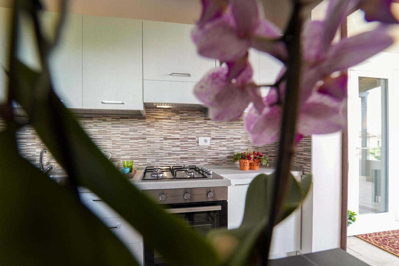 Villa Falcone Alvignano Ngoại thất bức ảnh